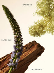 Fragrance Layering Balm - Woody Oak